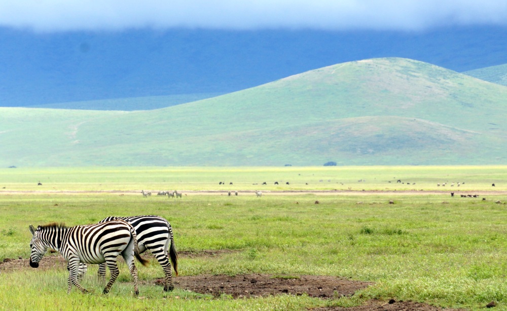 Ngorongoro 3