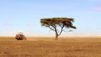 Tanzania, East Africa